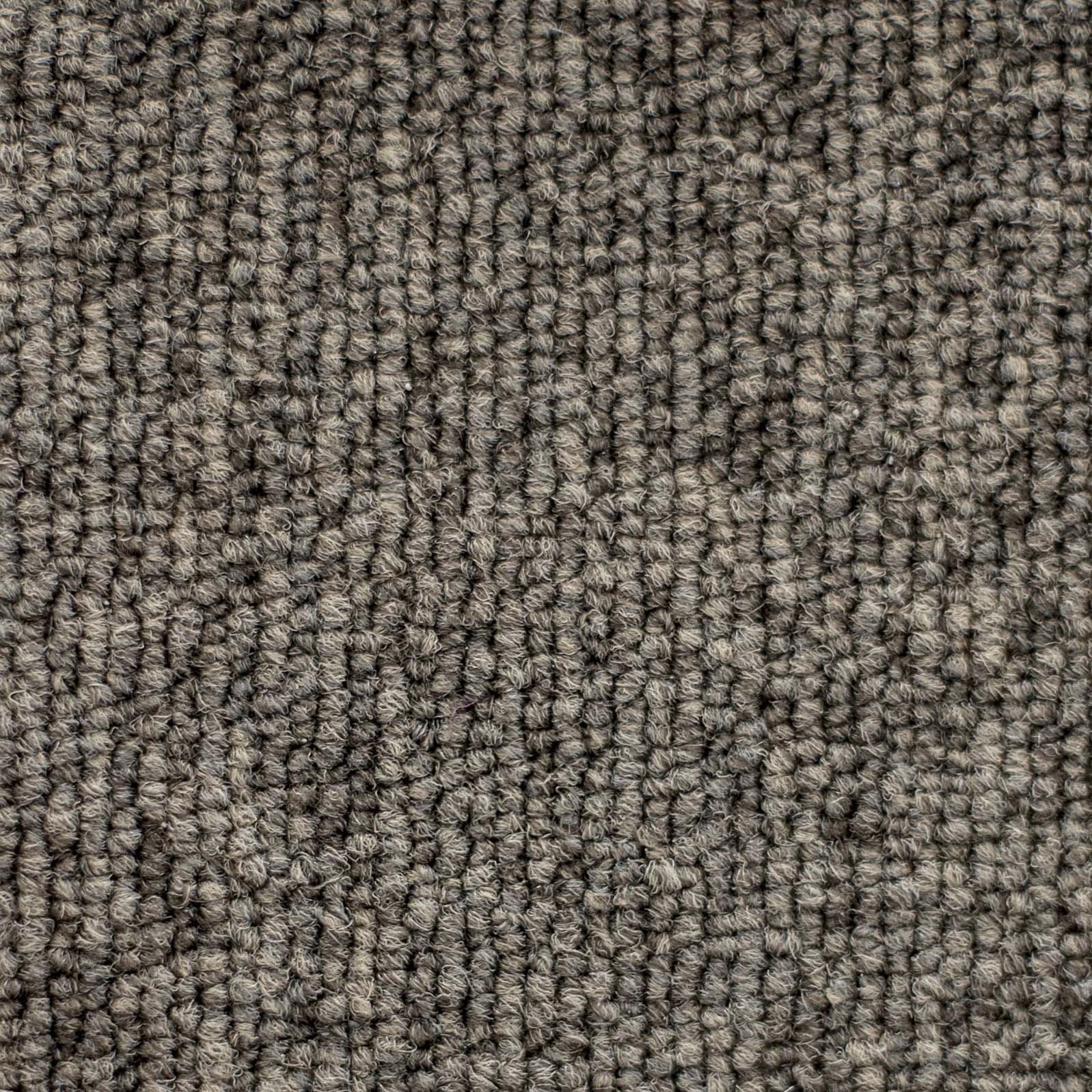 Ковролин "Зартекс" Daily 68 коричневый (4м) — купить в Нижнем Новгороде