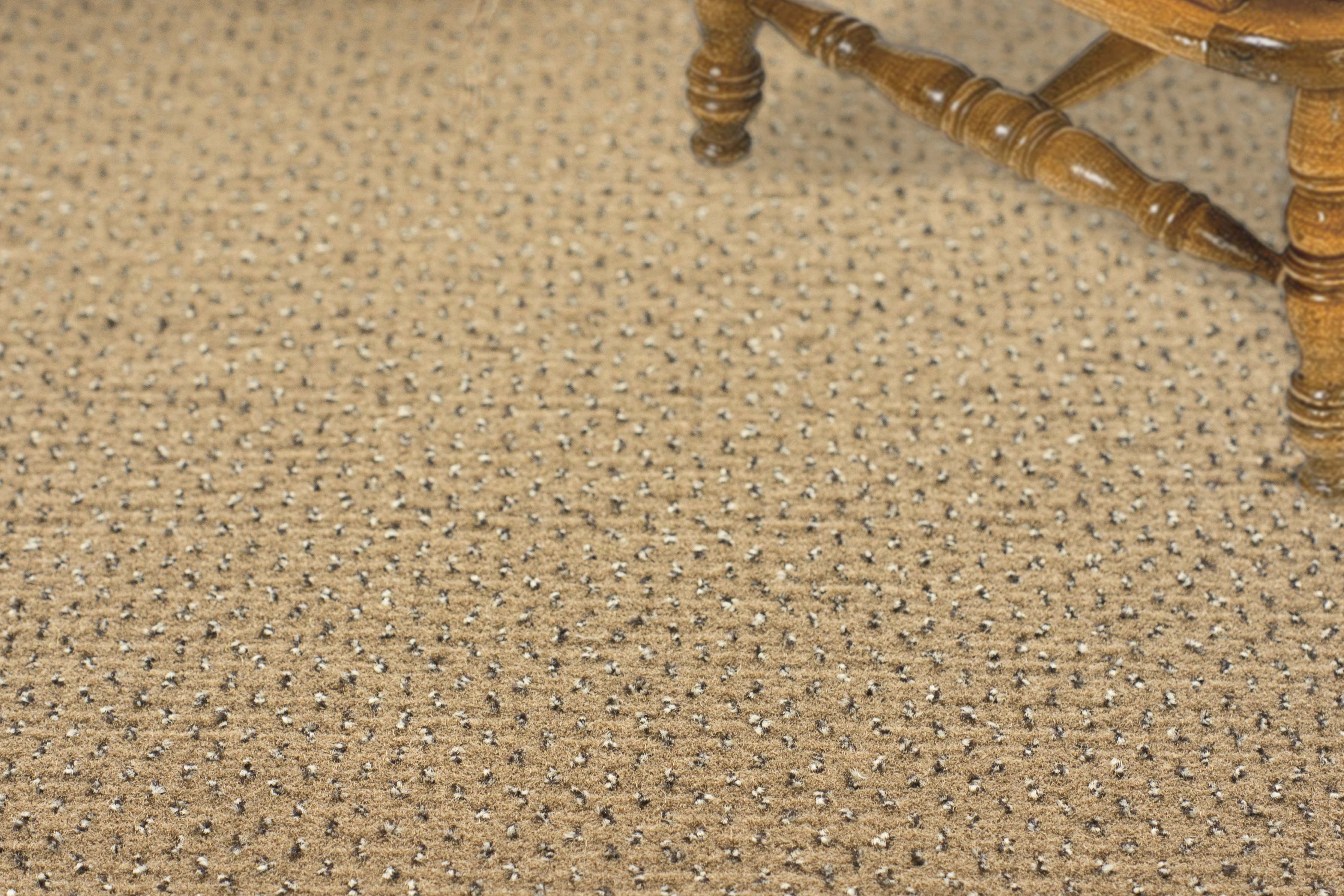 Ковролин "Зартекс" Eternity 142 бежевый (4м) — купить в Нижнем Новгороде